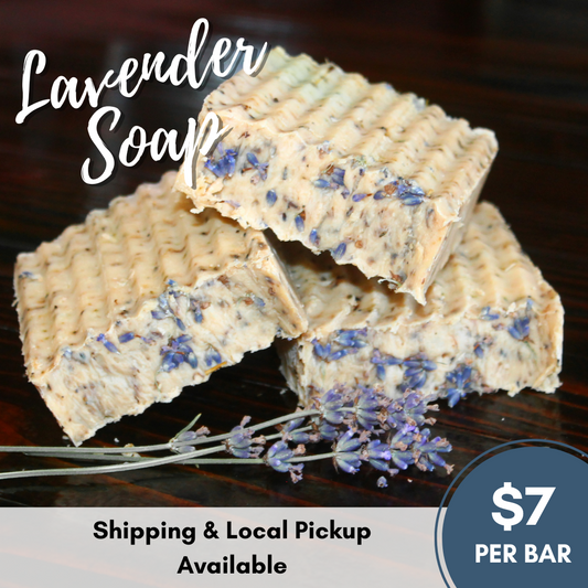 Lavender Goats Milk Soap